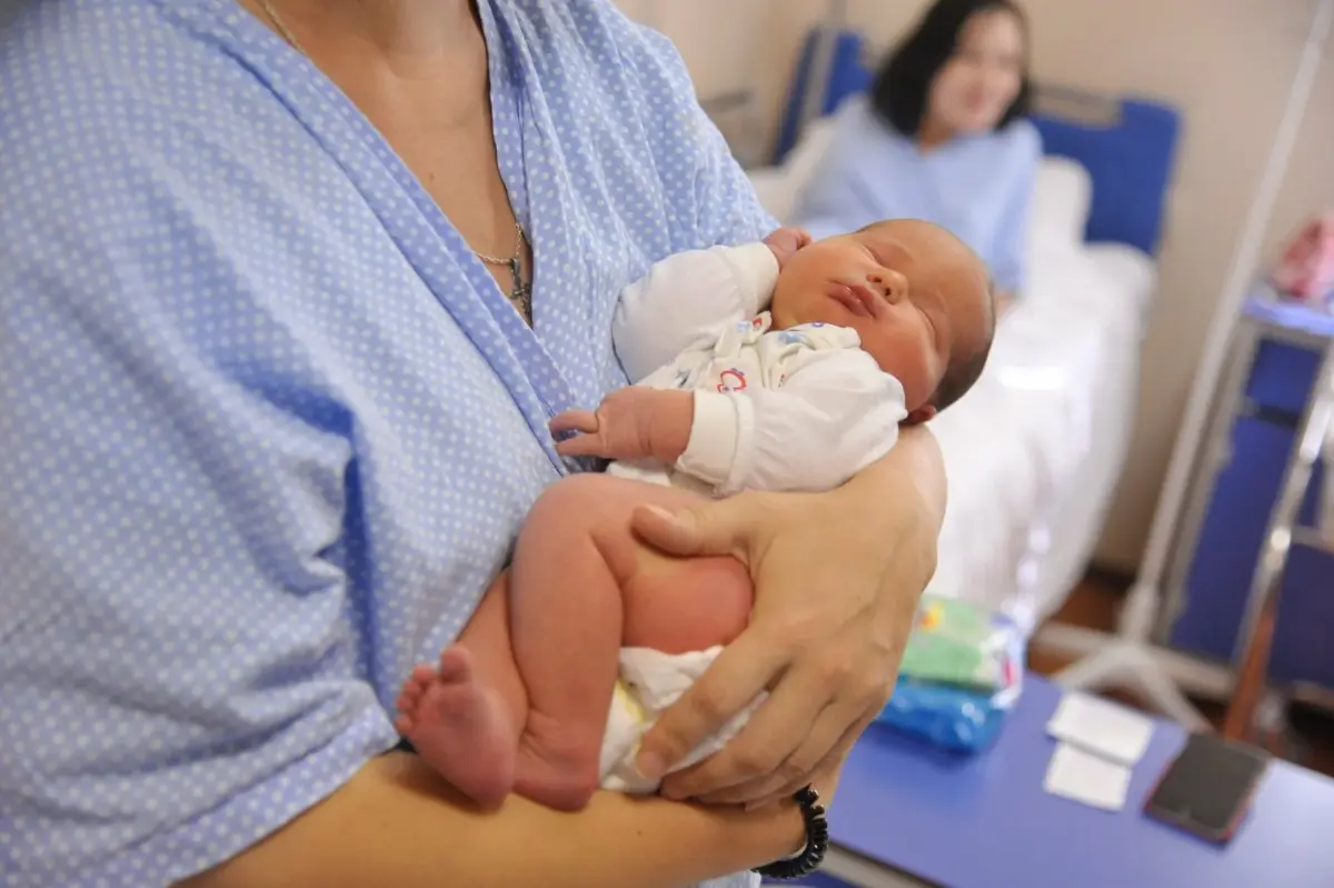 Фото: onlinevologda.ru