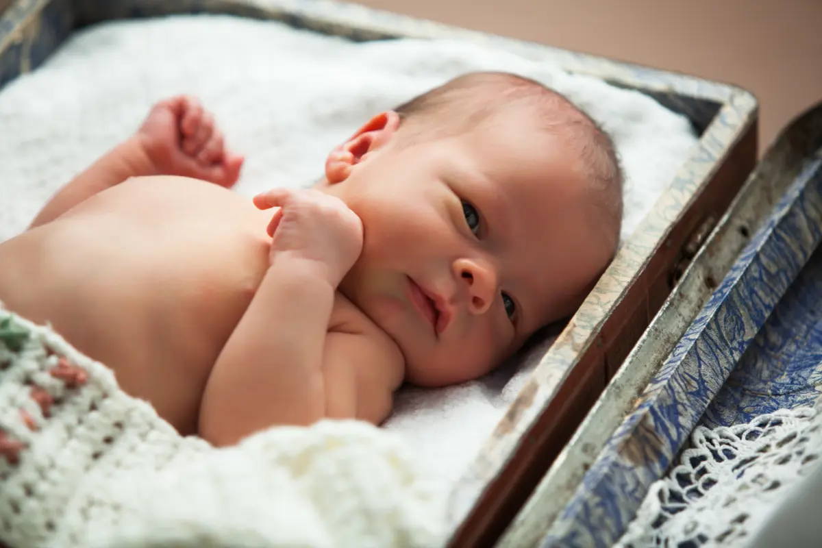 Фото: envato.com