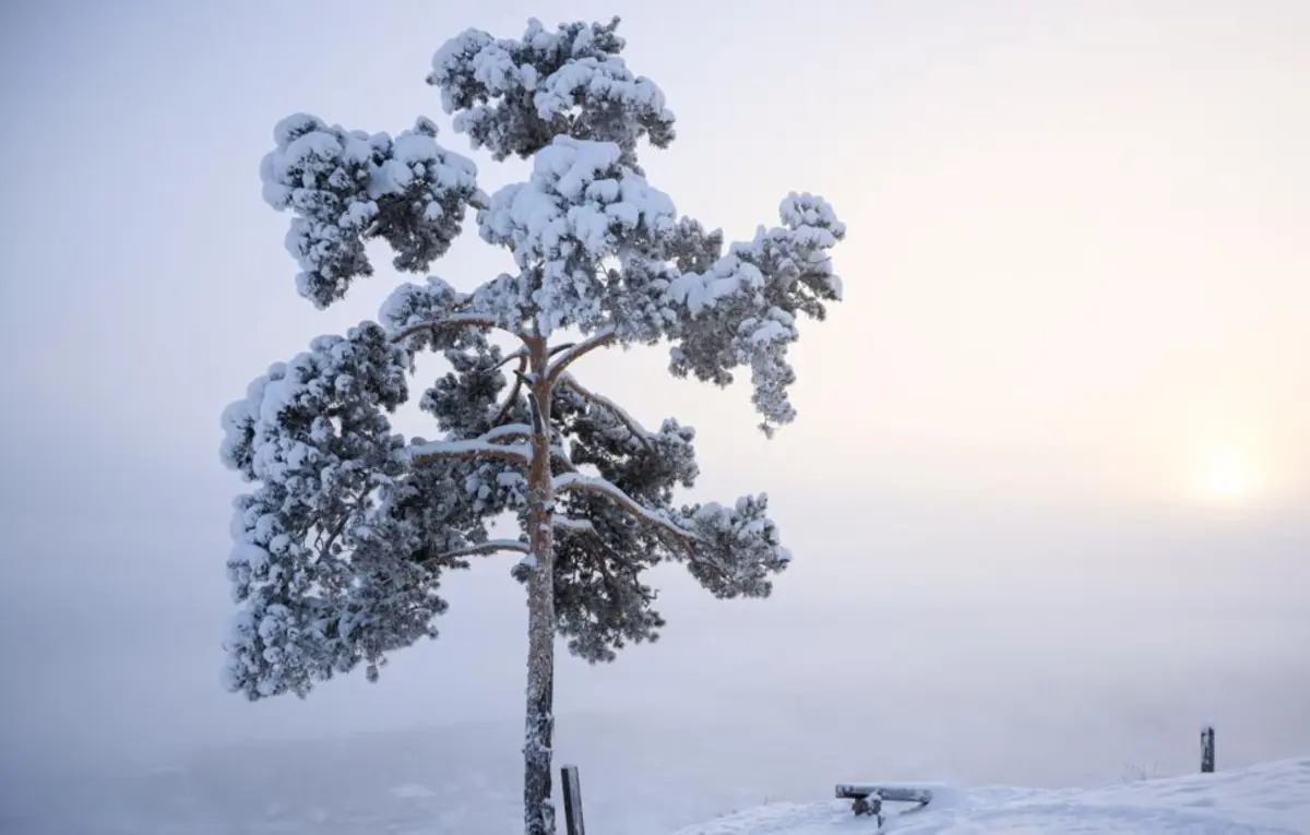 © Вадим Скрябин/ ТАСС