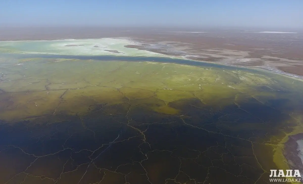 Фото из архива