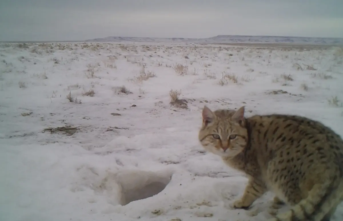 стоп-кадр из видео