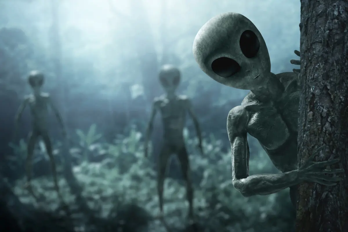 Фото: FOTOKITA/Shutterstock/FOTODOM