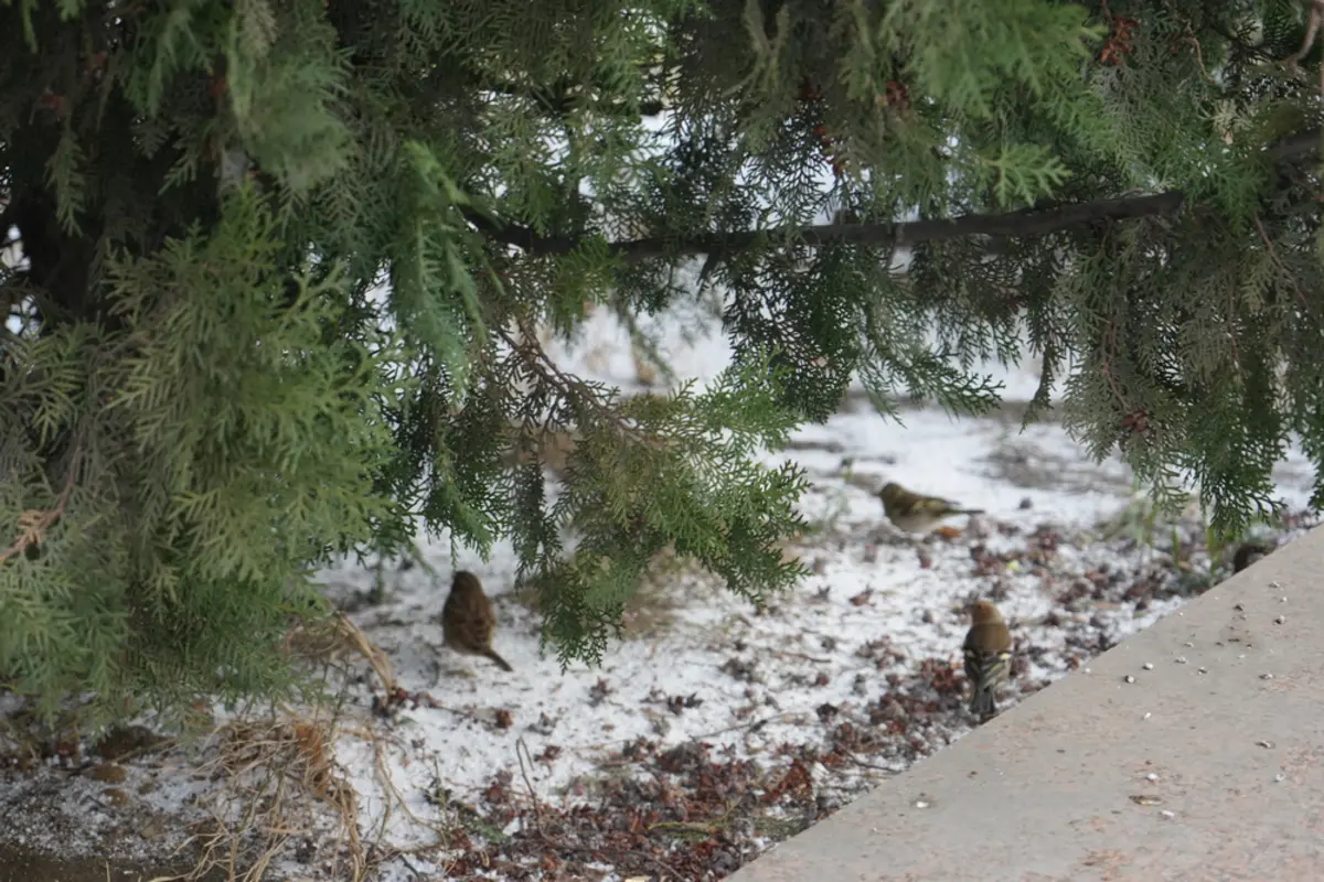 Фото: Lada.kz / Сергей Кораблев