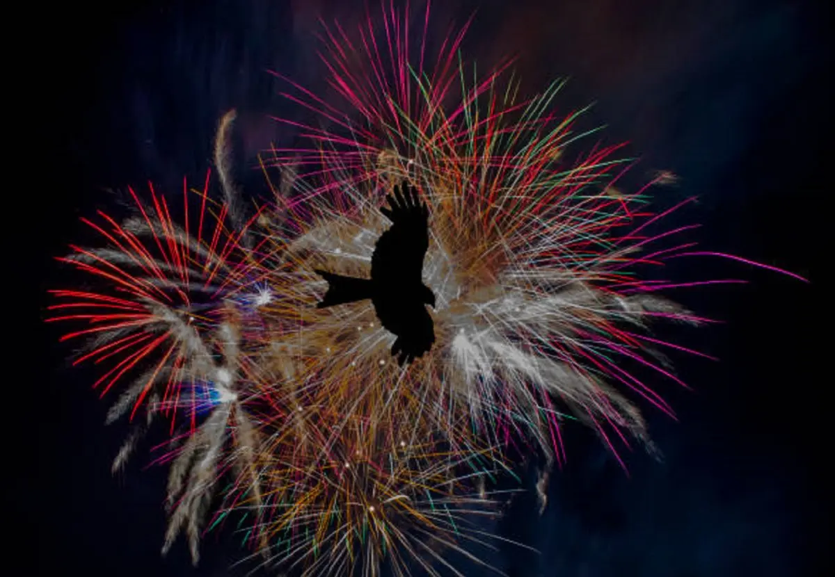 Фото: istockphoto.com