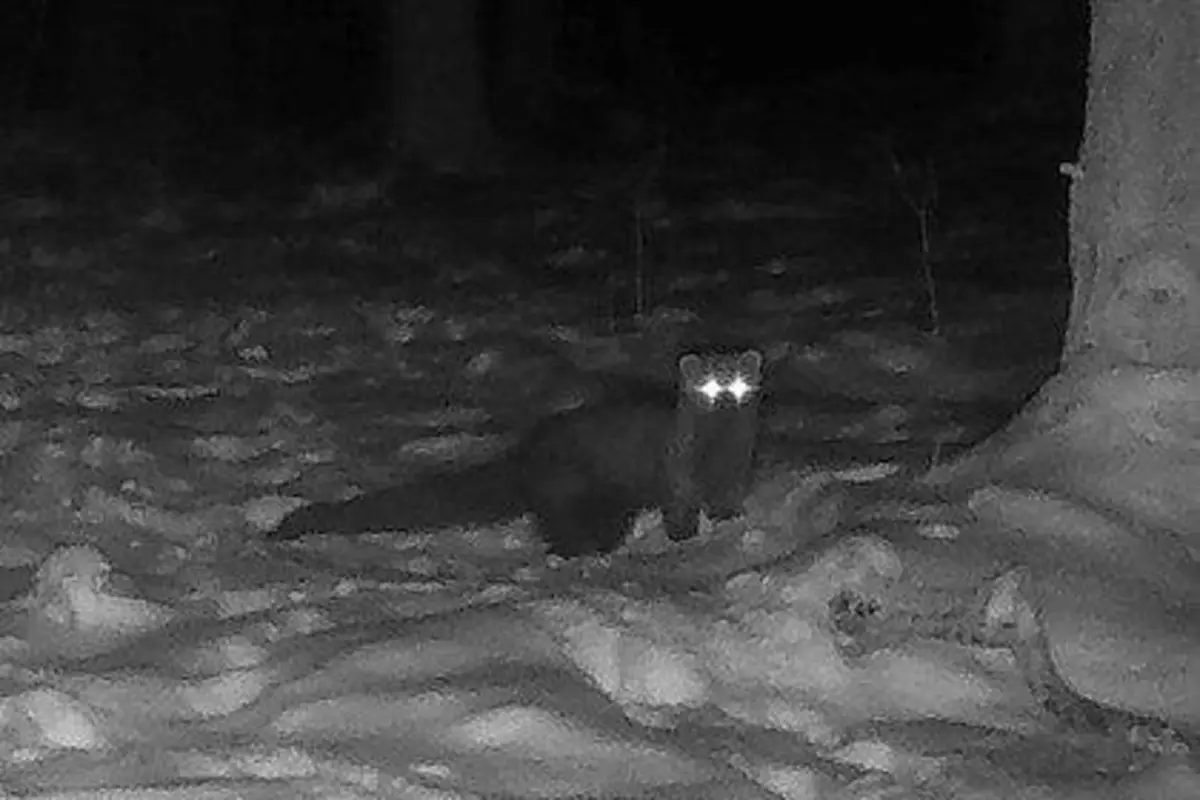 Фото: кадр YouTube