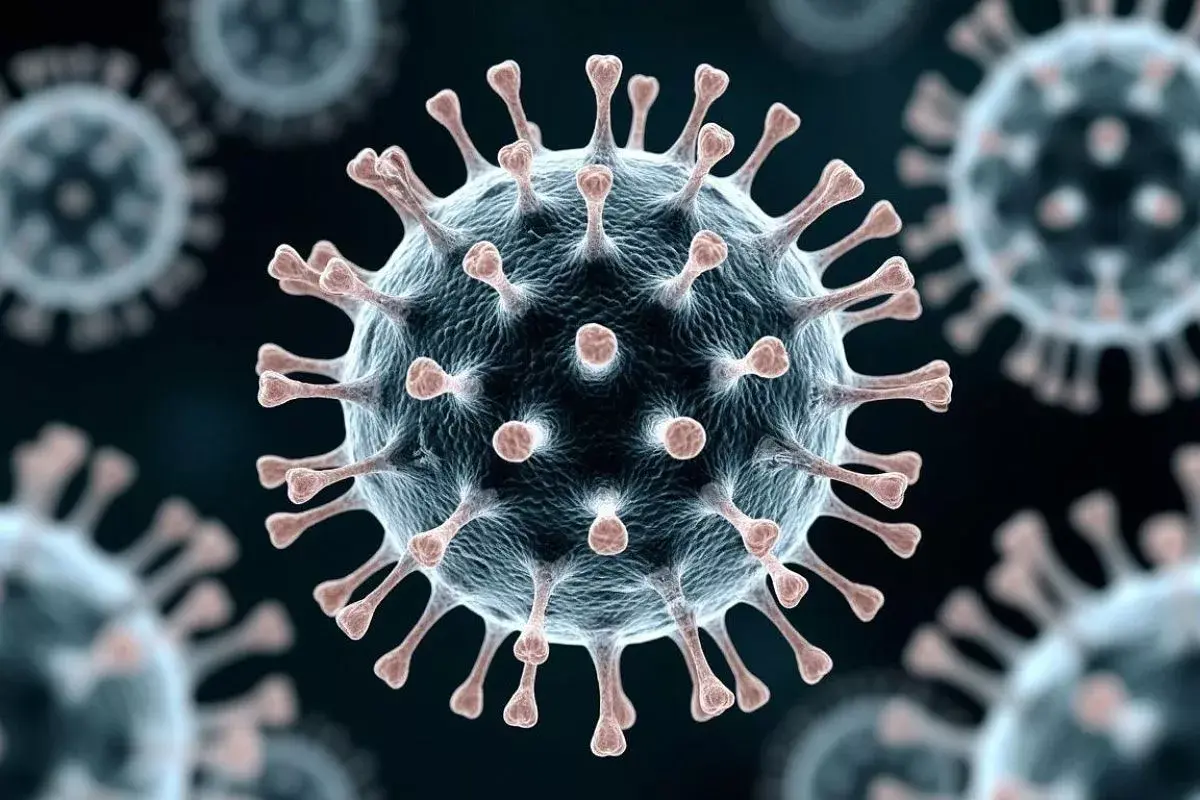 Фото:  Shutterstock