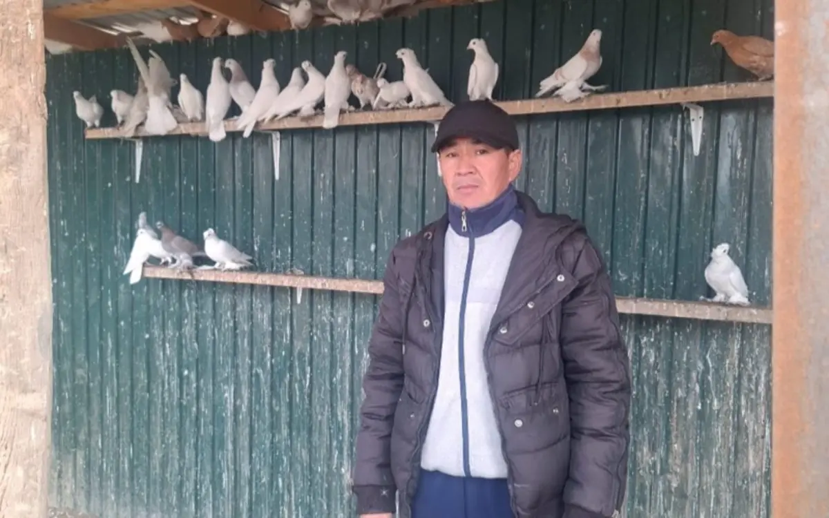 Фото: акимат Казалинского района