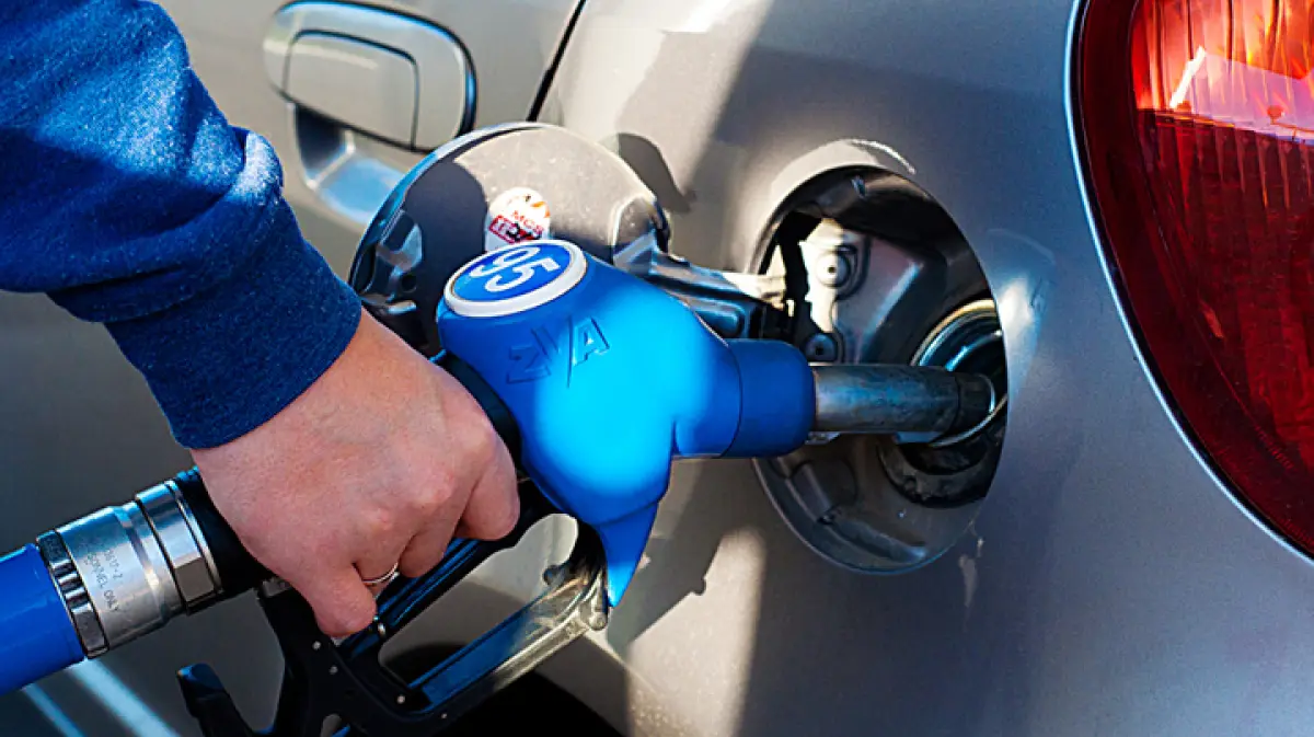 Фото: vestivrn.ru