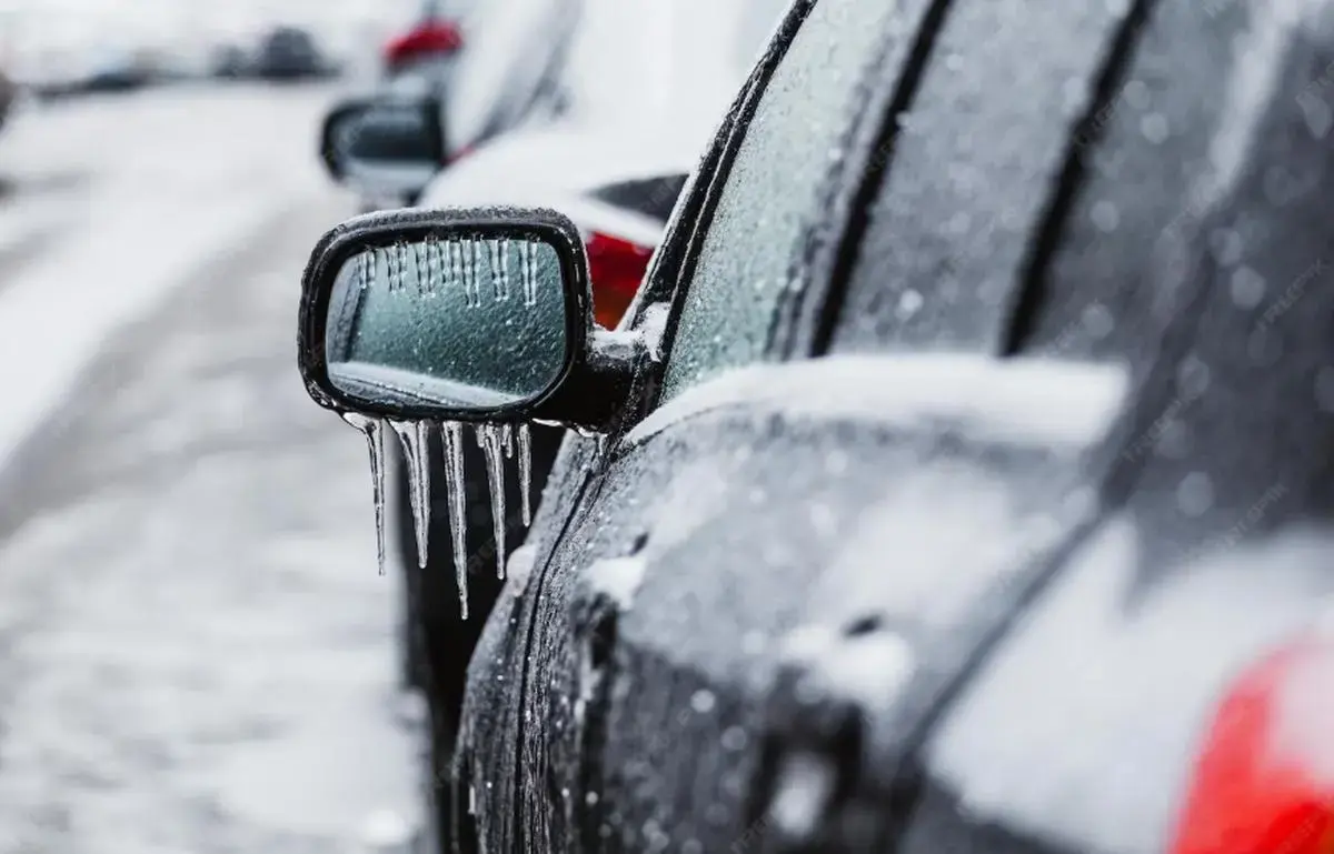 Фото: ru.freepik.com