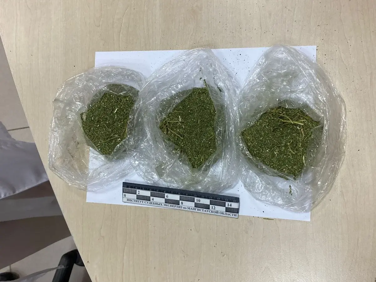 Иллюстративное фото: ДП МО