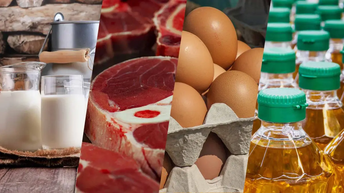 Фото: world-nan.kz