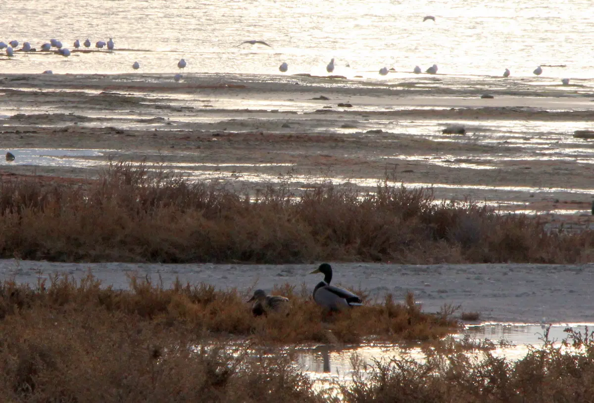 Фото местных жителей