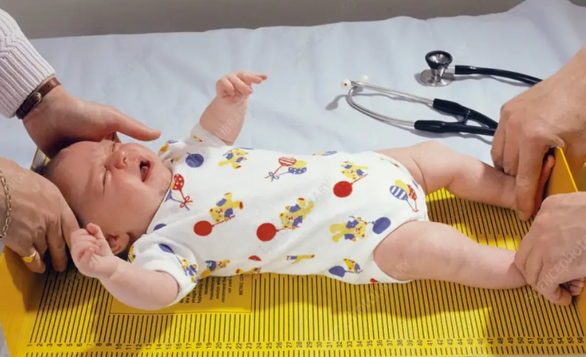 Фото: sciencephoto.com