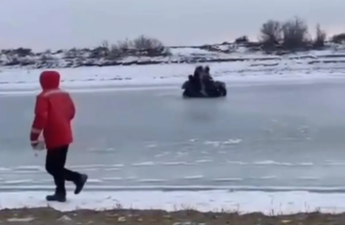 Кадр из видео