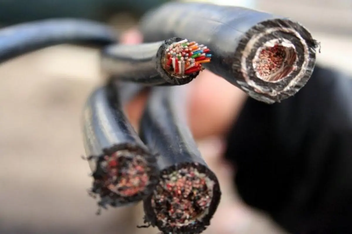 Иллюстративное фото с сайта zhukvesti.ru