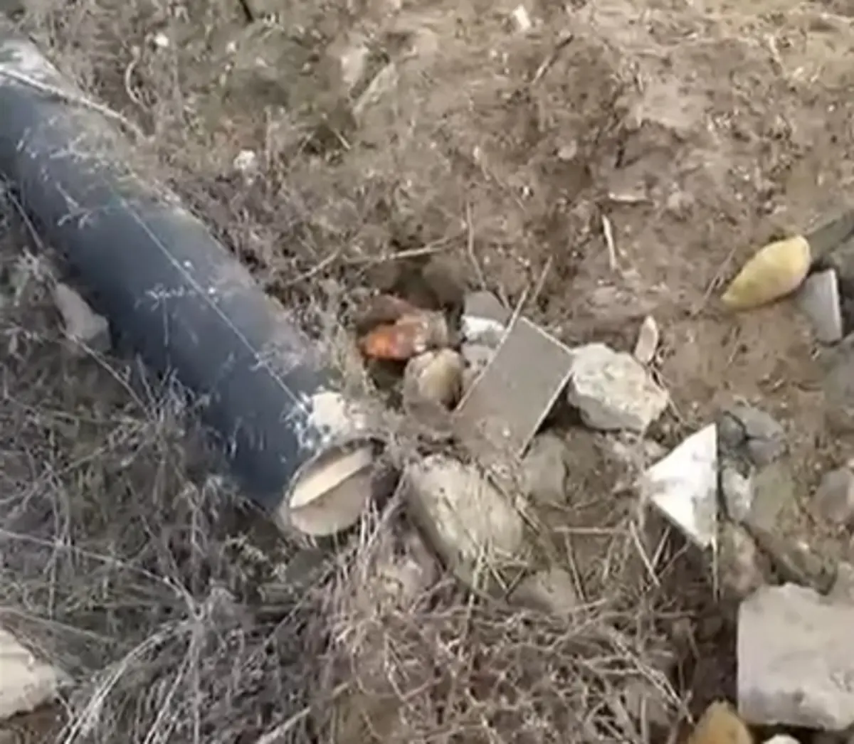 Фото: скриншот из видео