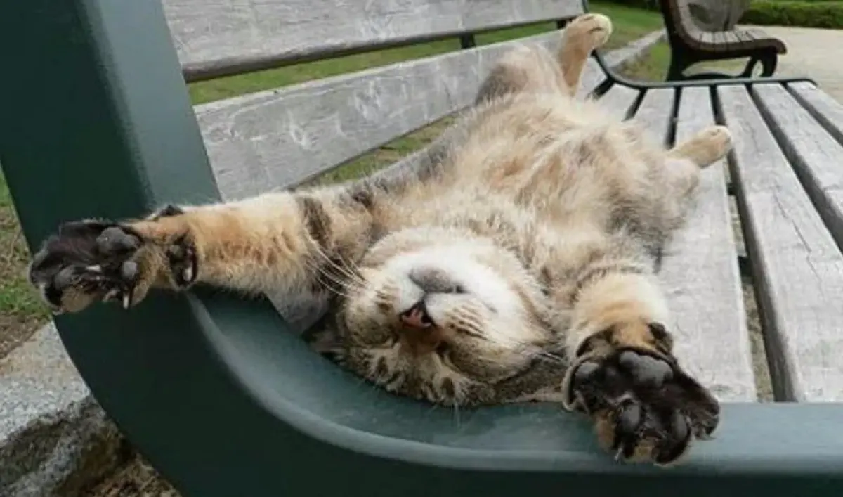 Иллюстративное фото m.fotostrana.ru