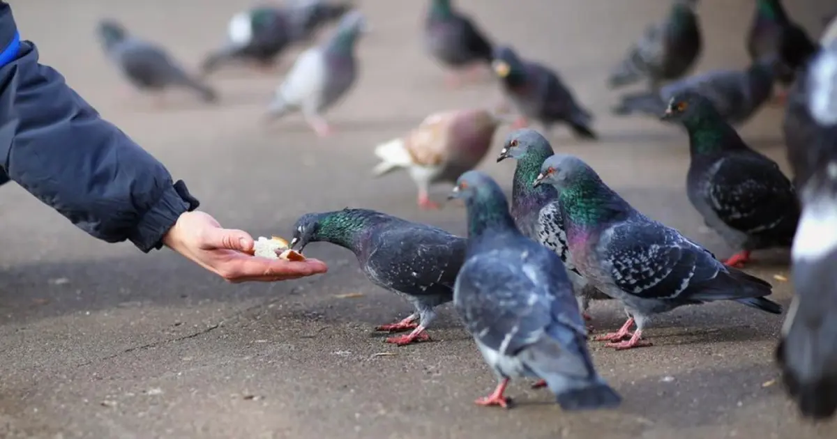 Фото: smartpress.by