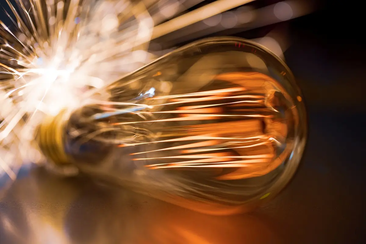 Фото с сайта app.envato.com