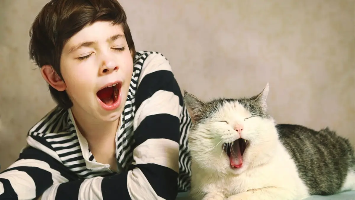 Фото: кадр YouTube