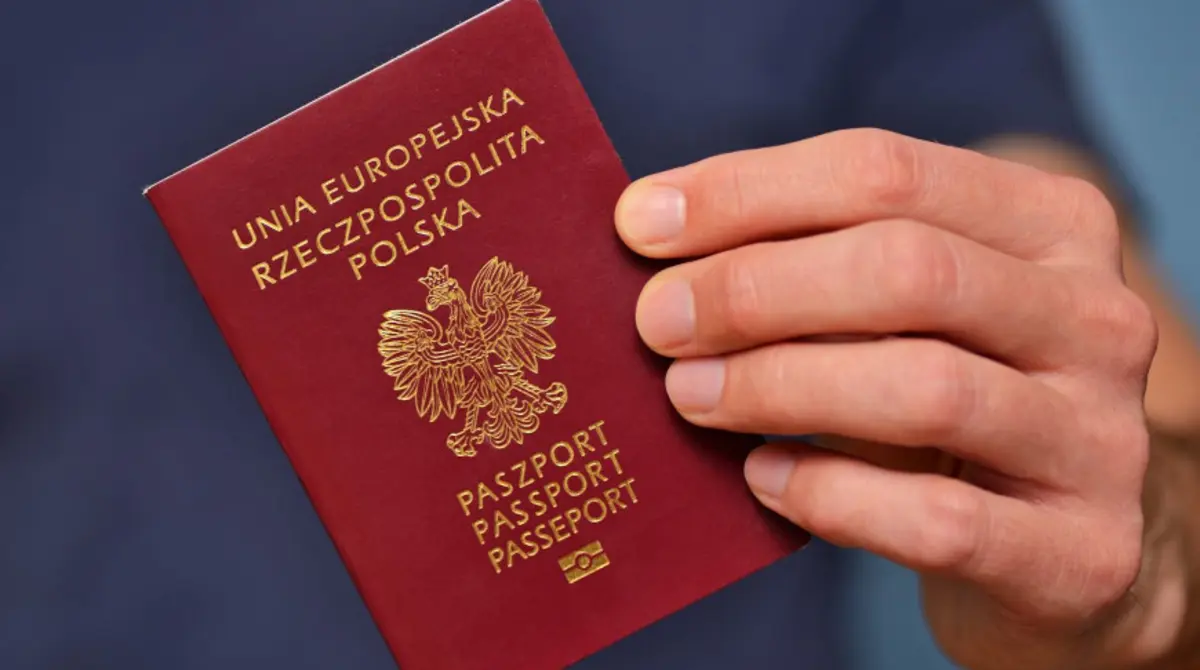 Фото: stock.adobe.com