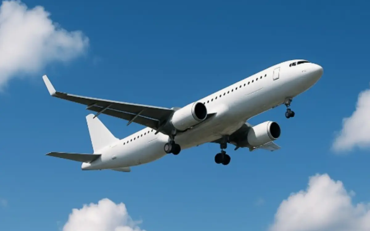 Фото: кадр YouTube