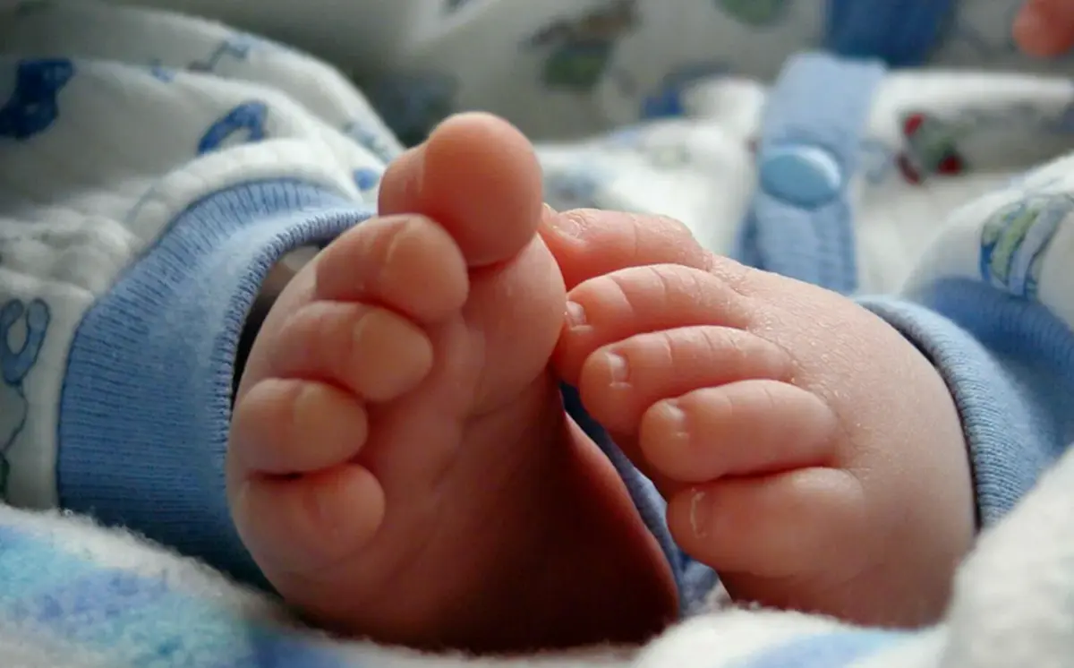 Фото: omet-rb.com