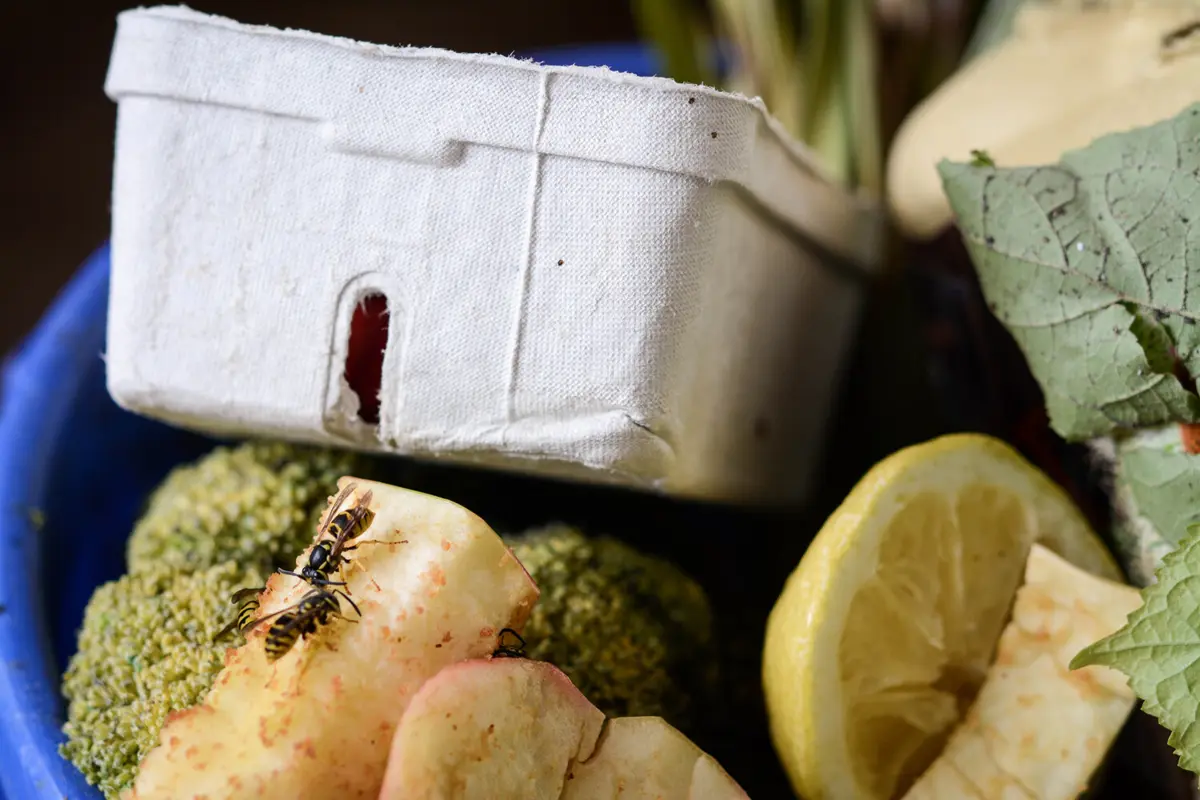 Фото: Mandy Cherundolo/Shutterstock/FOTODOM