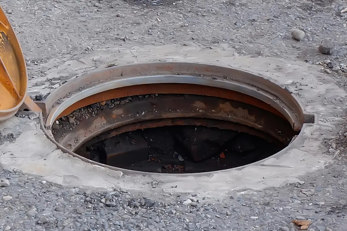 Фото:  Shutterstock