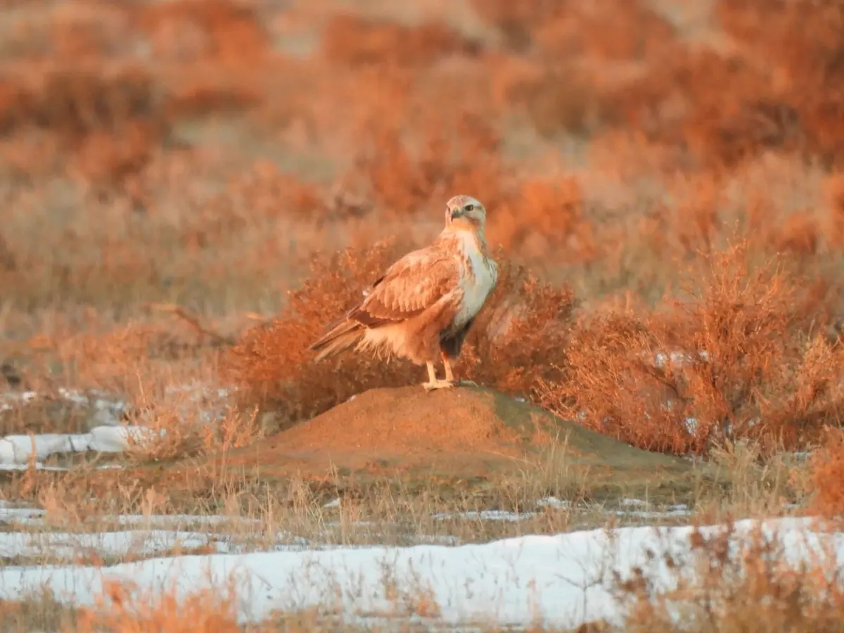 Фото сотрудников парка