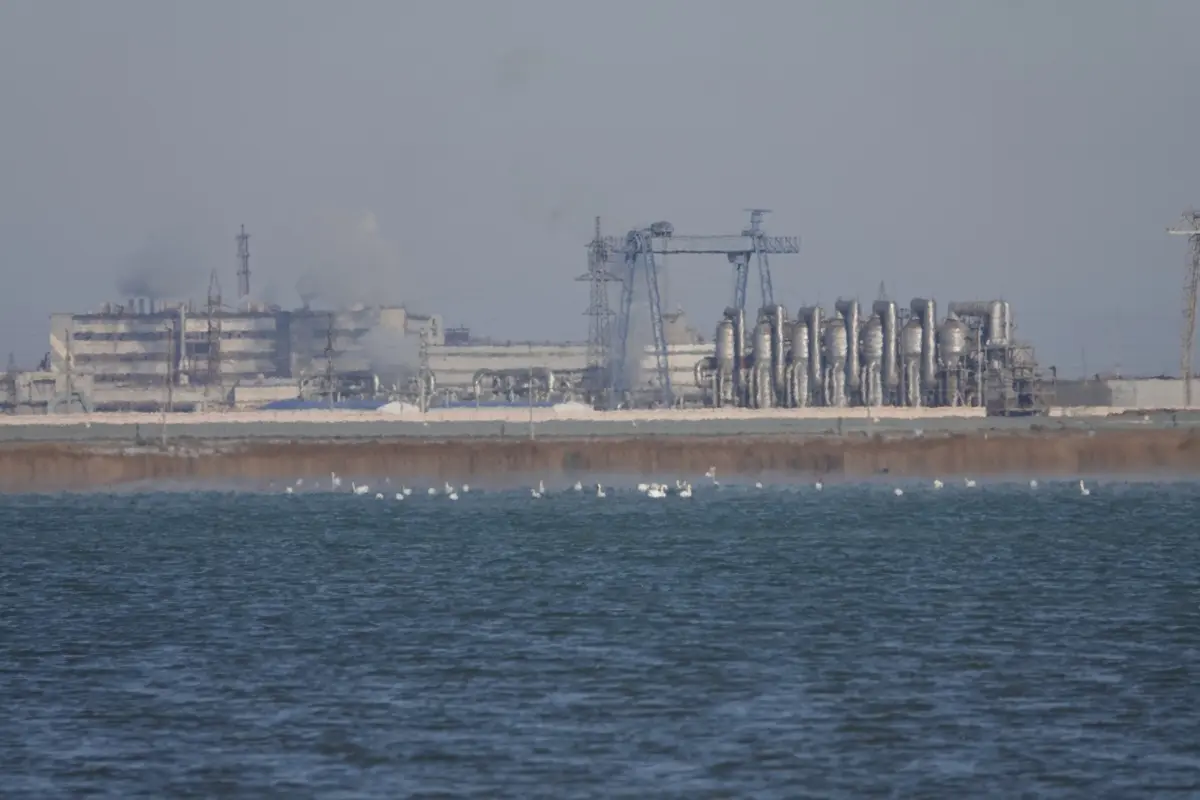 Фото участников учета