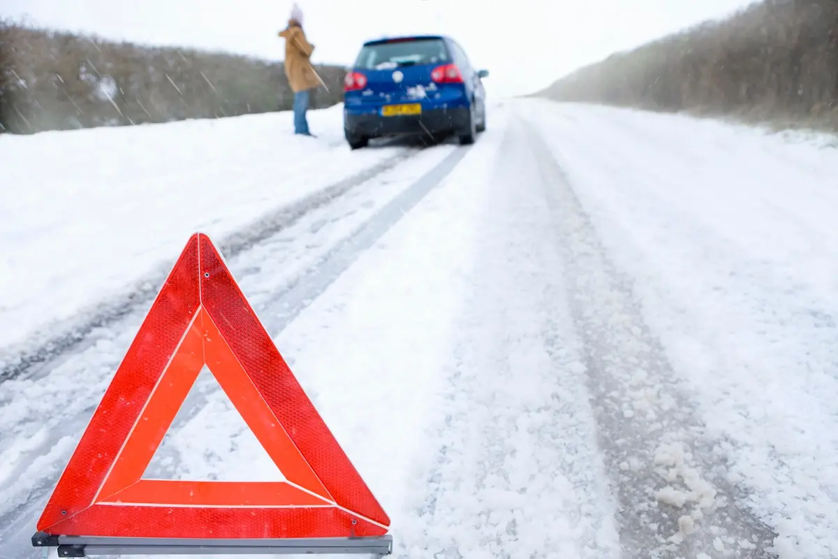 Фото с сайта app.envato.com