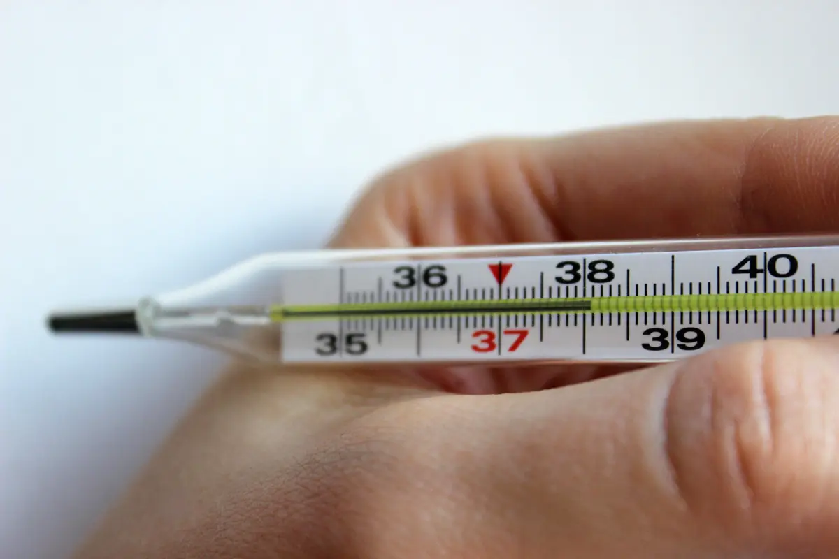 Фото: Anastasia Peskova/Shutterstock/FOTODOM