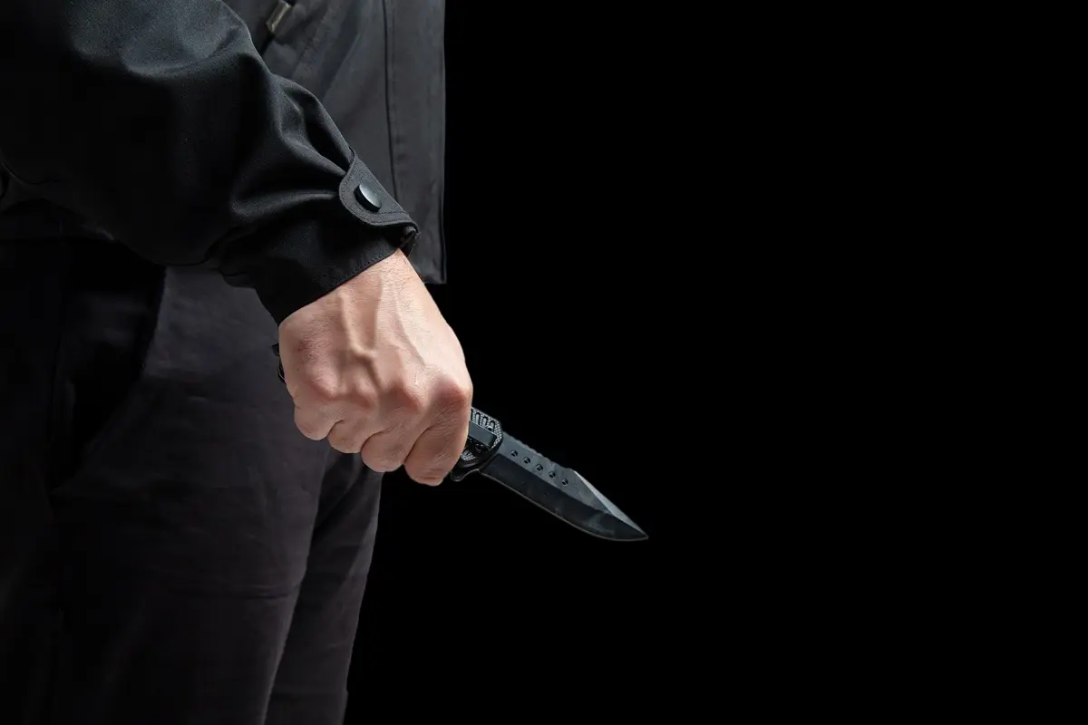 Фото с сайта app.envato.com