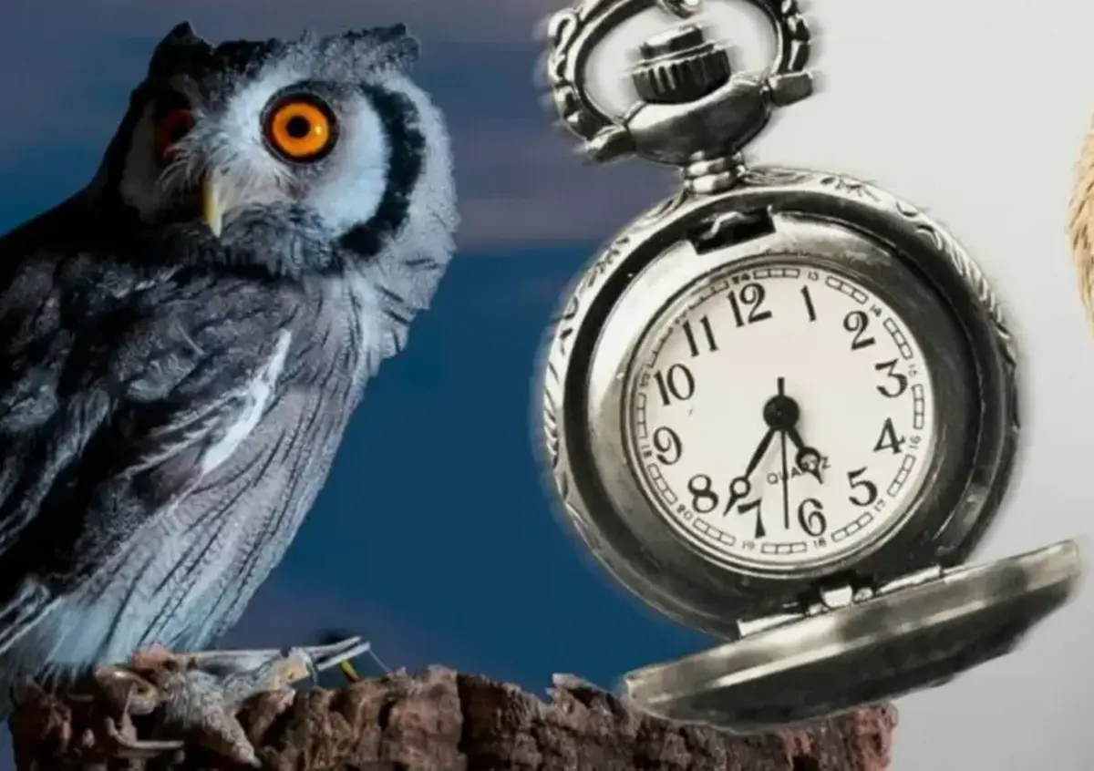 Фото: vesti-yamal.ru