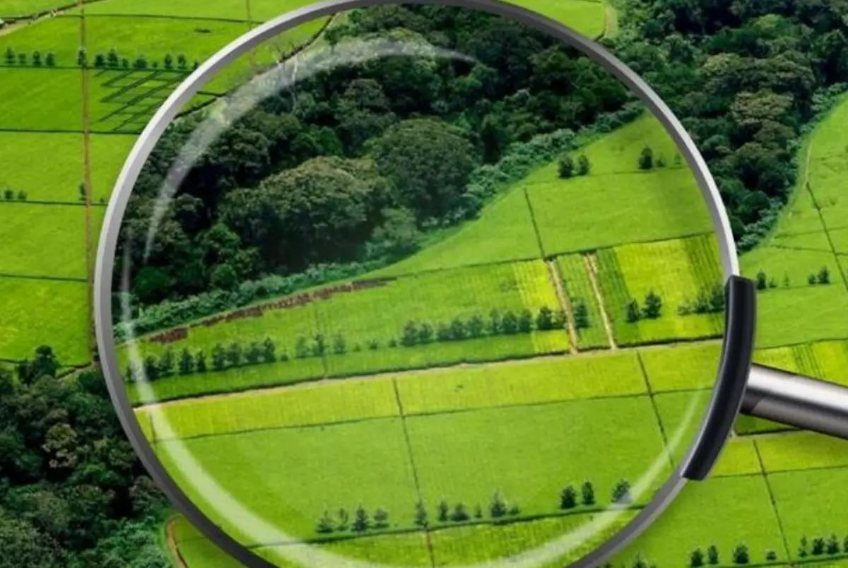 Фото: кадр YouTube