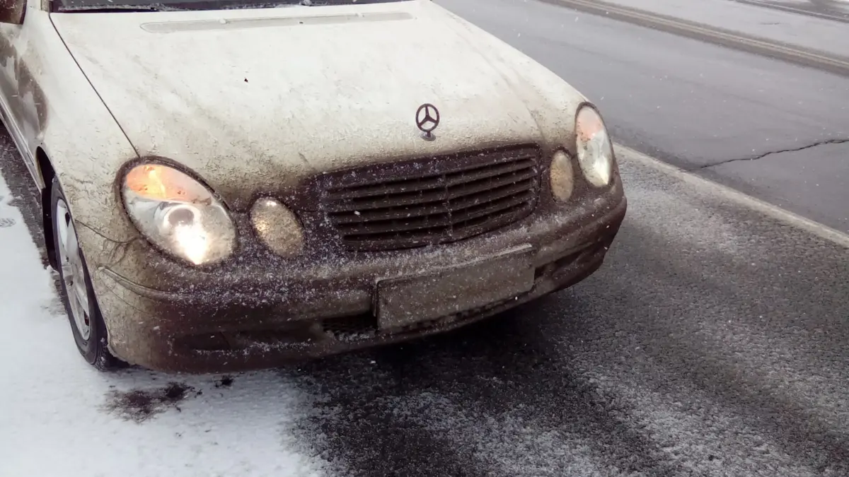 Иллюстративное фото с сайта galleriacarspa.by