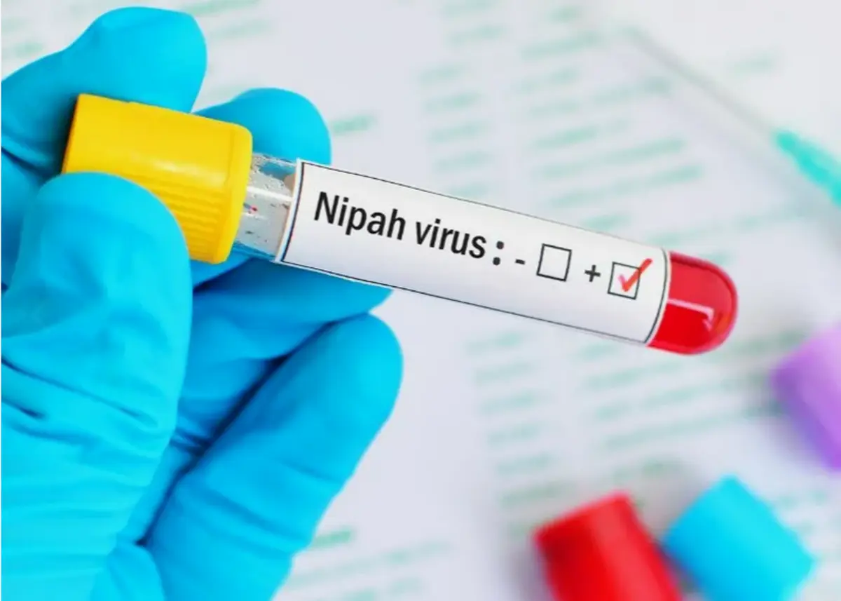 Фото: thesouthfirst.com