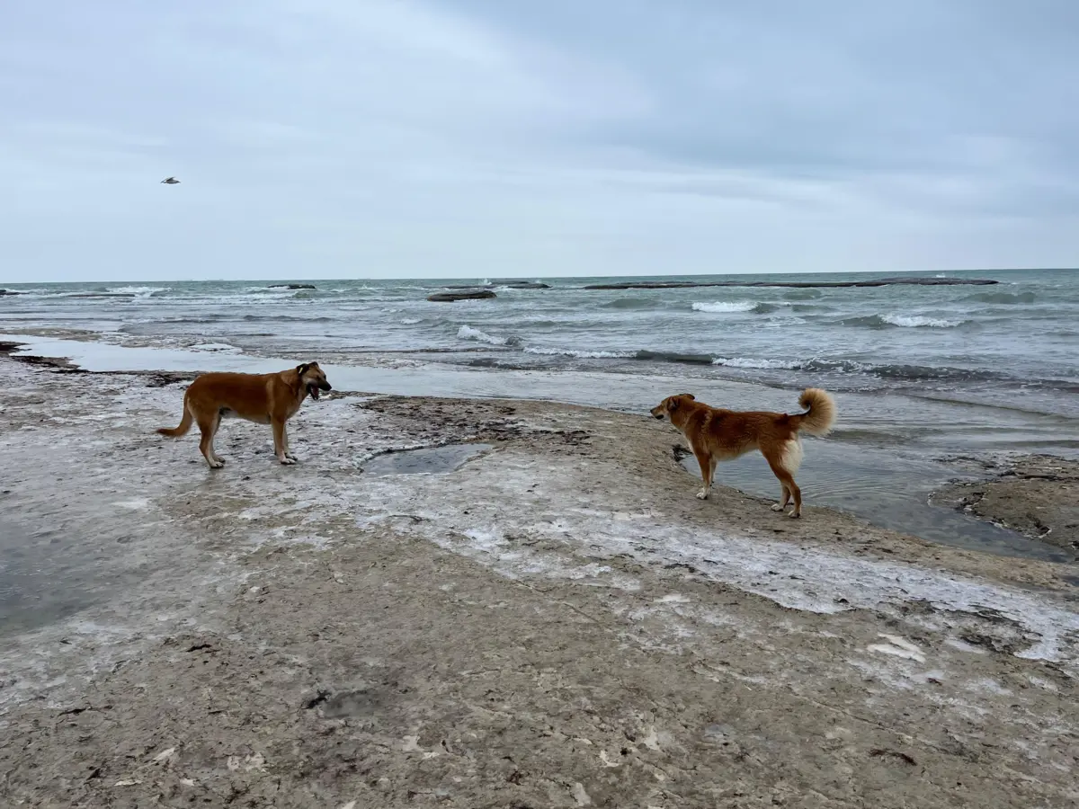 Берег Каспия в Актау. Фото автора