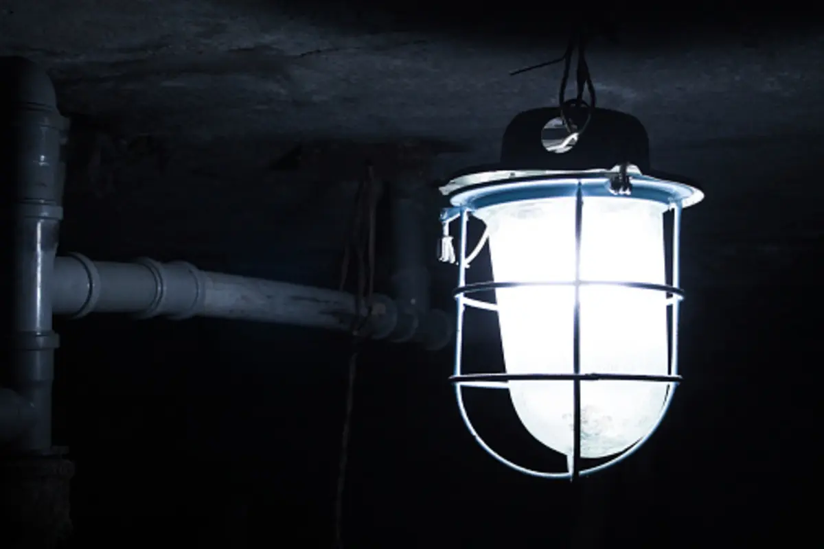 Фото: istockphoto.com