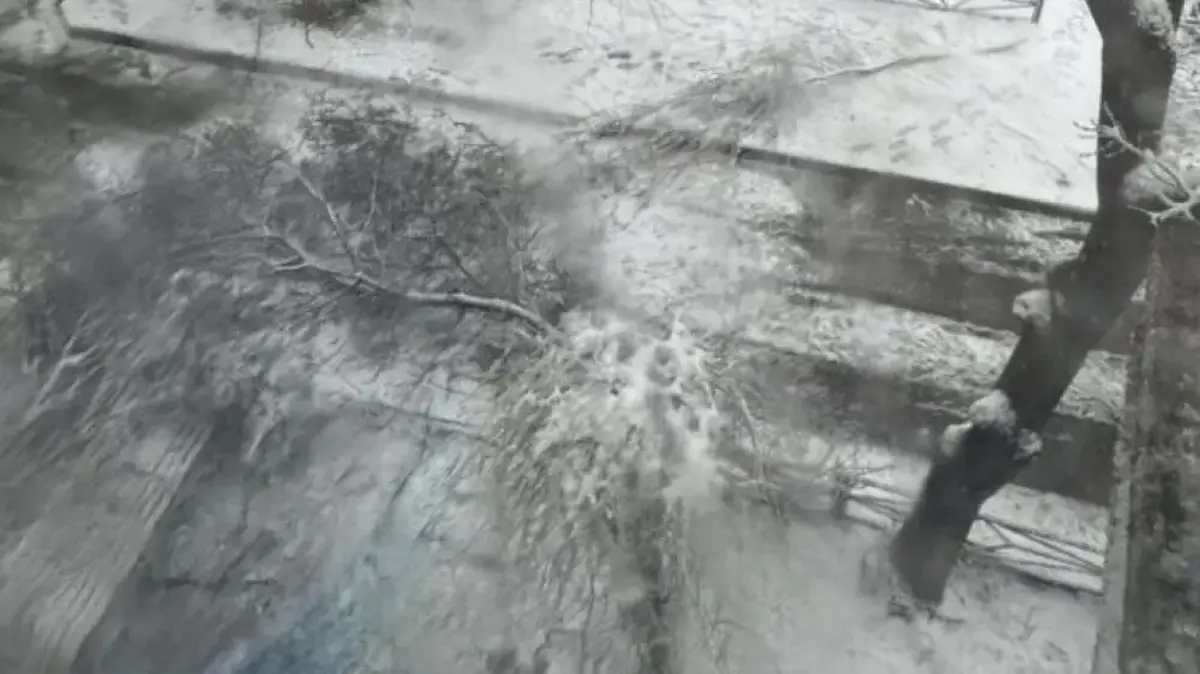 Фото очевидцев