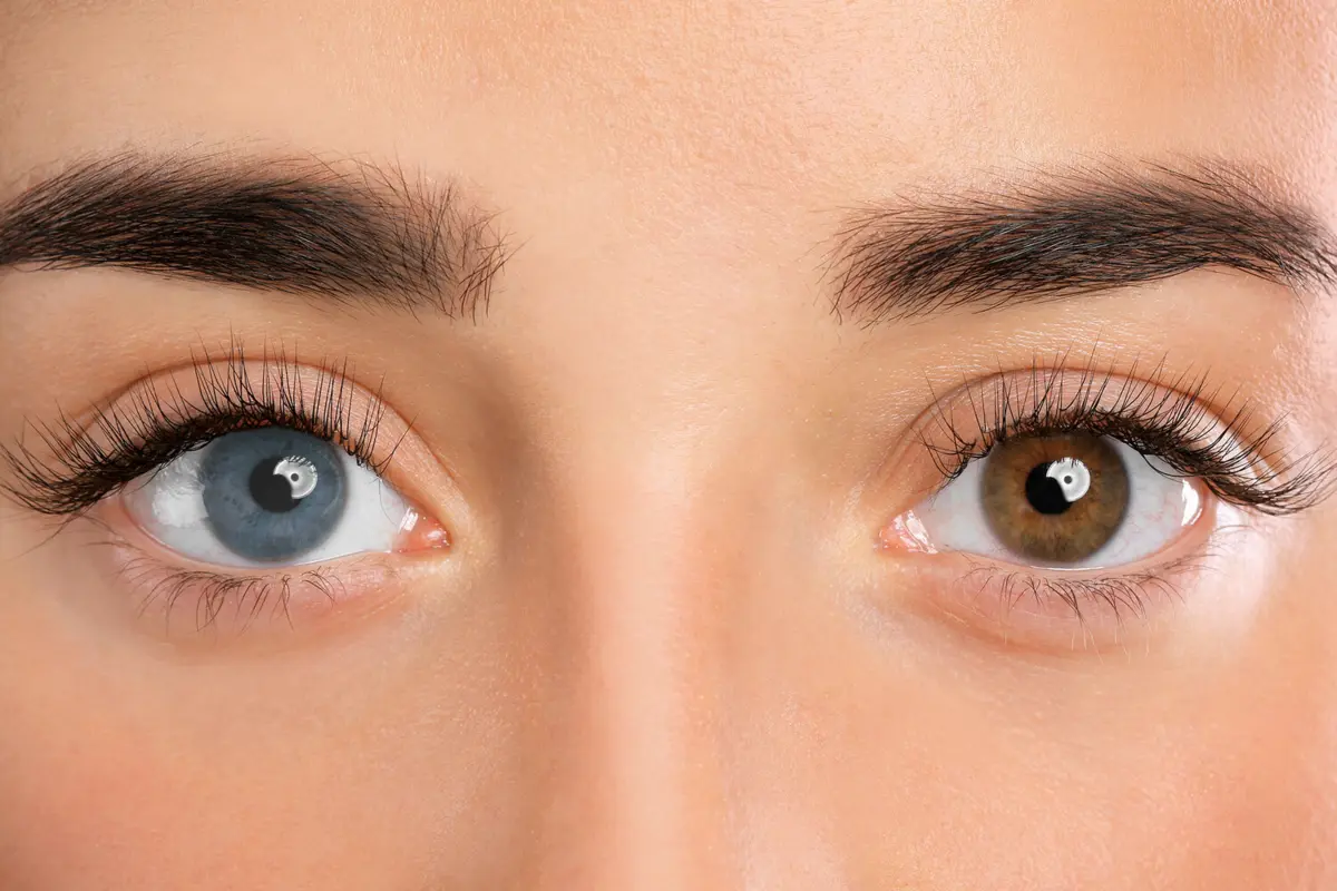 New Africa/Shutterstock/FOTODOM