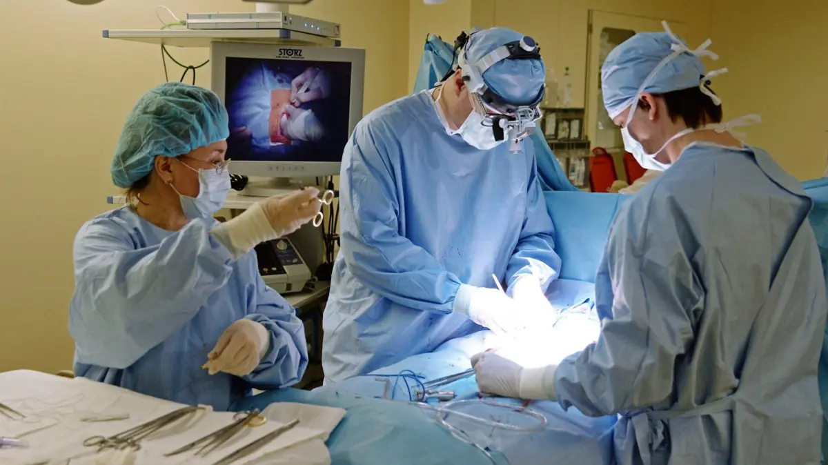 © Sputnik / Александр Кондратюк