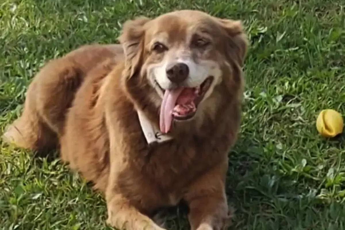 Фото: соцсети