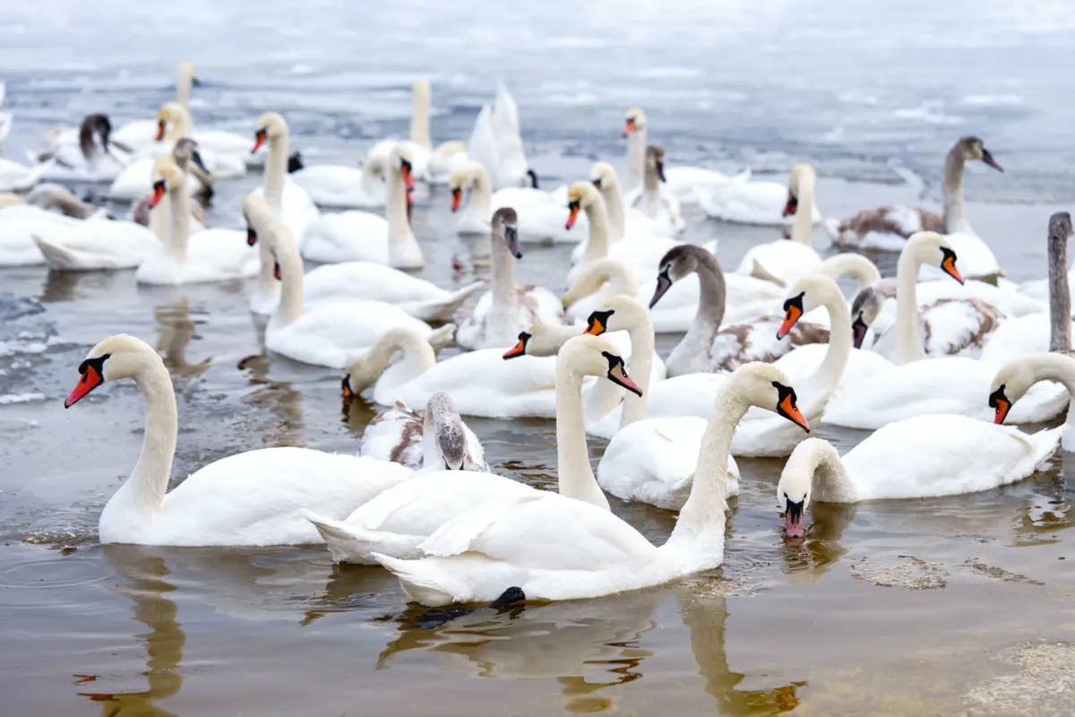 Иллюстративное фото: envato.com