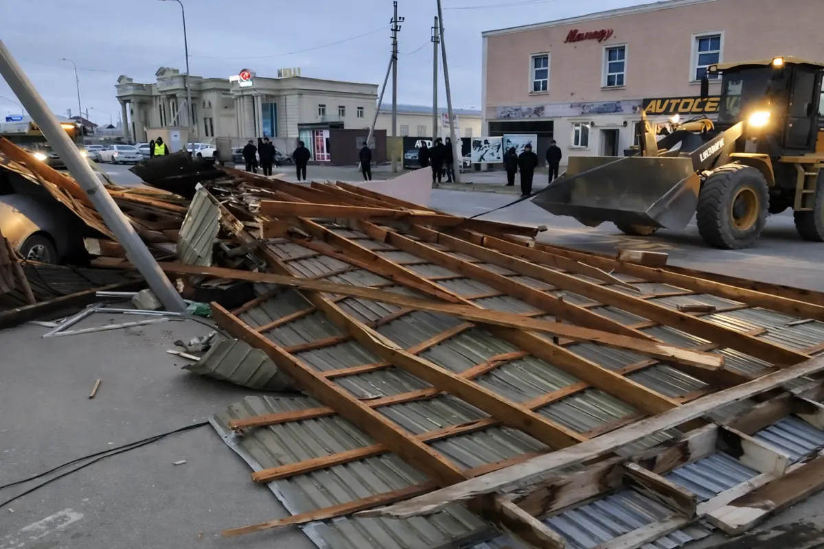 Фото: стоп-кадр из видео. Улучшен при помощи ИИ