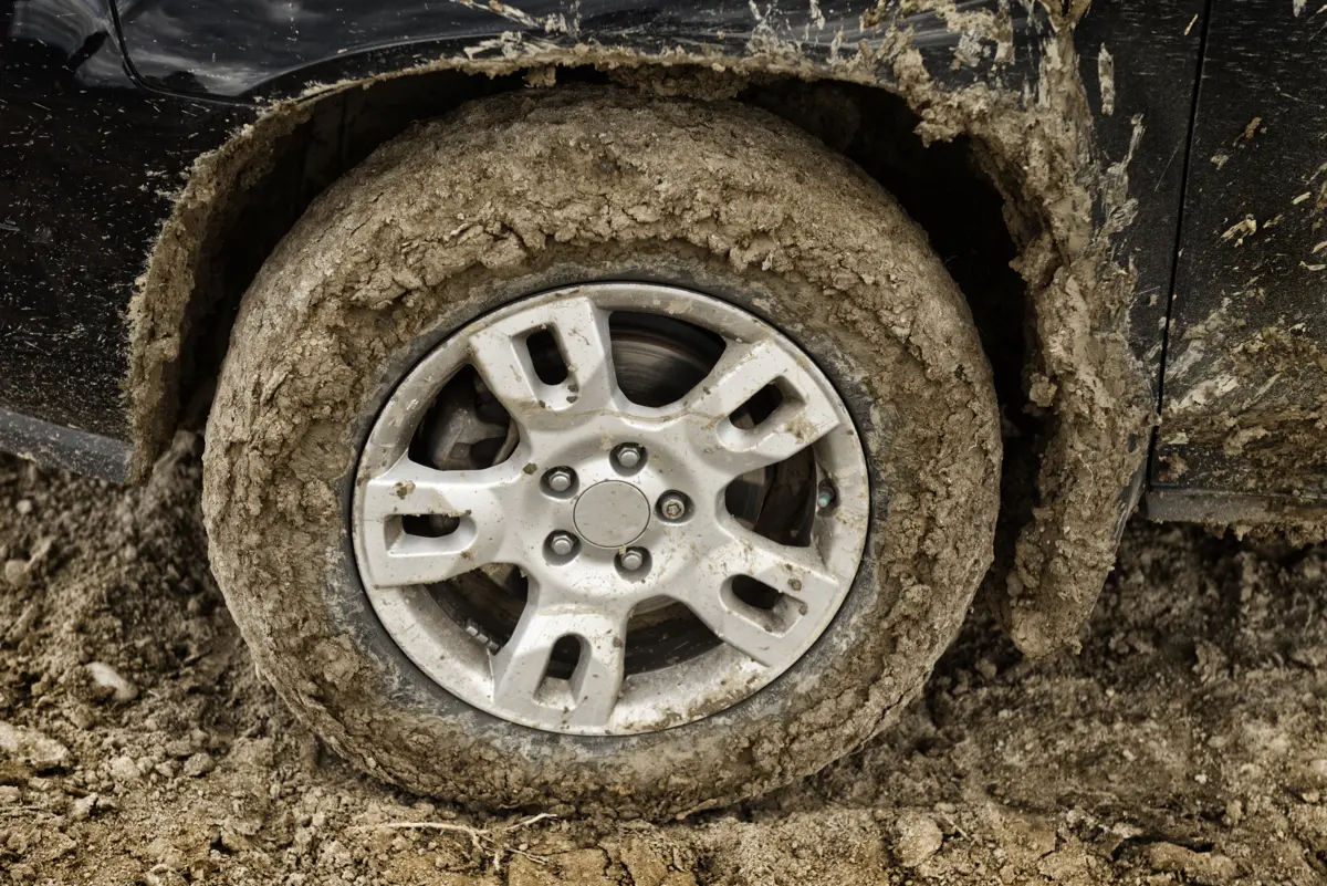 Иллюстративное фото: envato.com