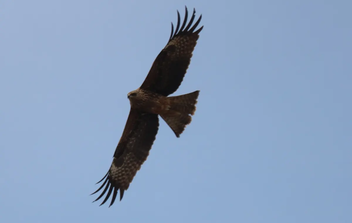 Фото сотрудников заповедника