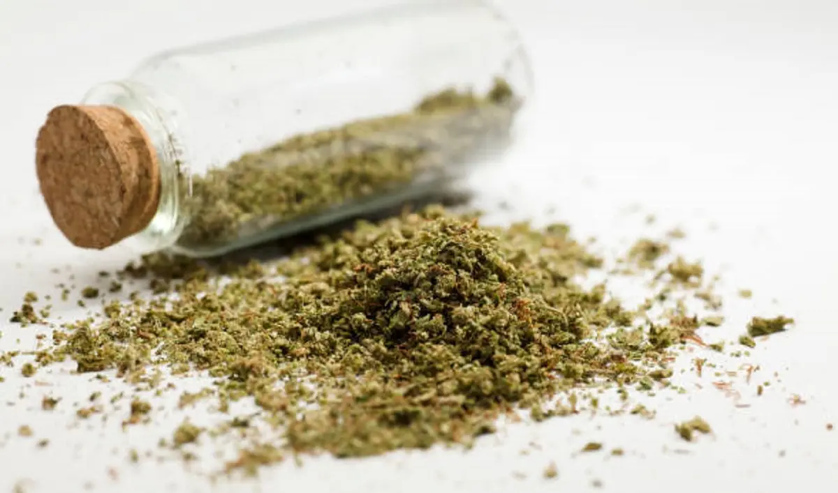 Фото istockphoto.com