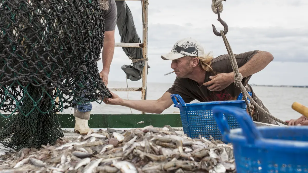 Иллюстративное фото: envato.com